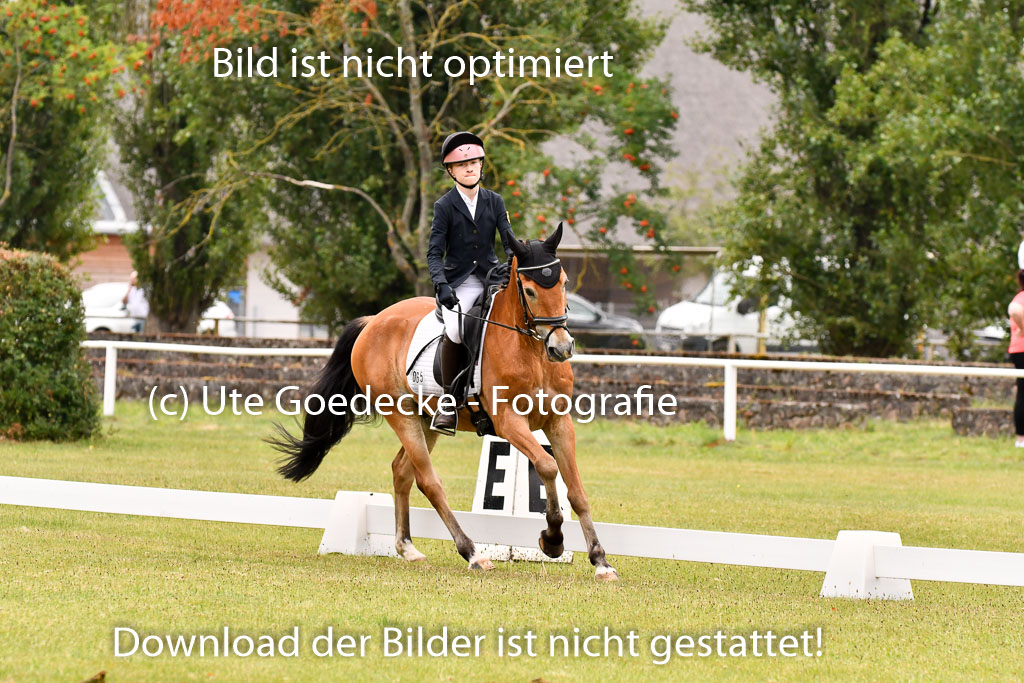 Goldene Schärpe Ponys in Hohenberg Krusemark 2024 | 12072024 Dressur _0343