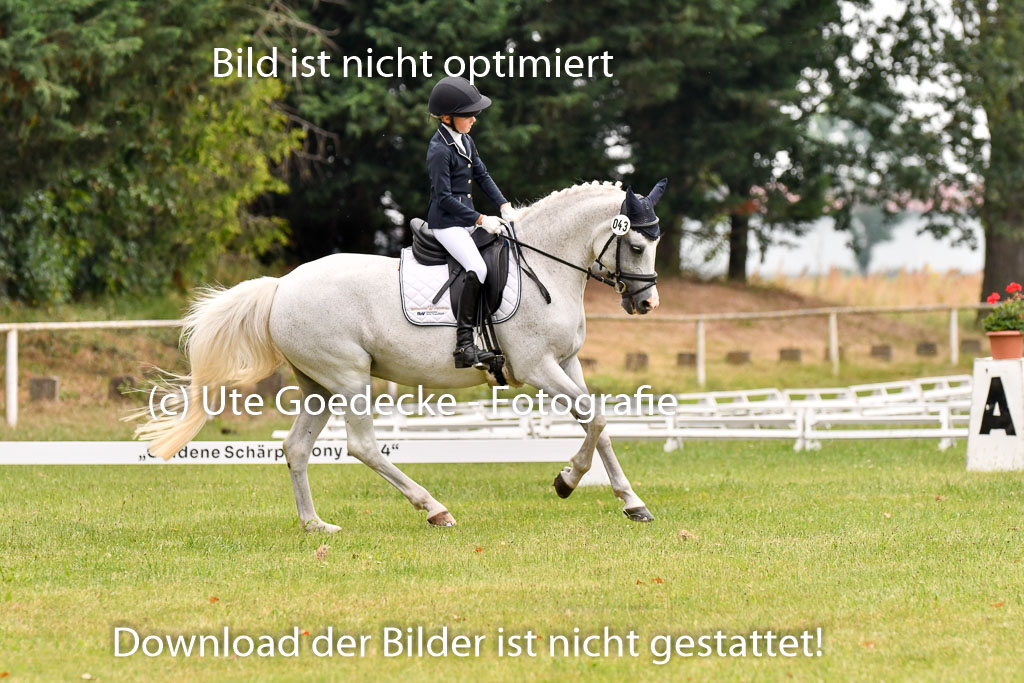 Goldene Schärpe Ponys in Hohenberg Krusemark 2024 | 12072024 Dressur _0347