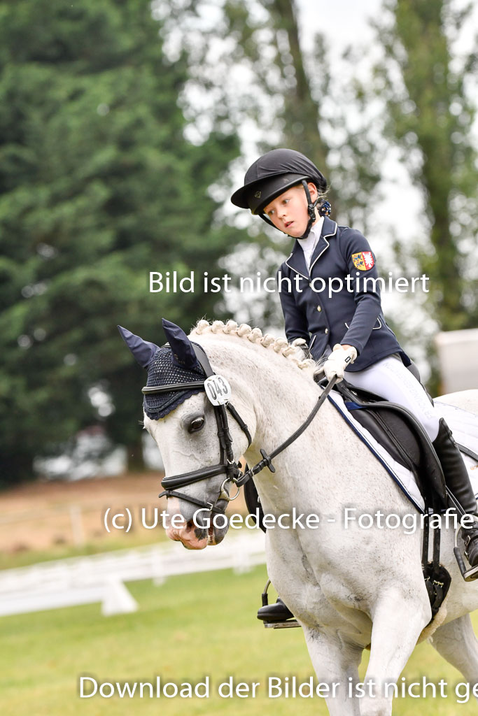 Goldene Schärpe Ponys in Hohenberg Krusemark 2024 | 12072024 Dressur _0348