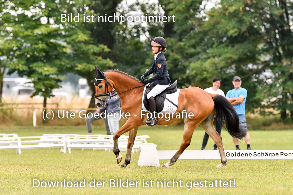 Goldene Schärpe Ponys in Hohenberg Krusemark 2024 | 12072024 Dressur _0349