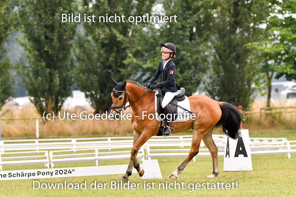 Goldene Schärpe Ponys in Hohenberg Krusemark 2024 | 12072024 Dressur _0350