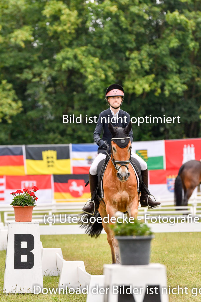 Goldene Schärpe Ponys in Hohenberg Krusemark 2024 | 12072024 Dressur _0351