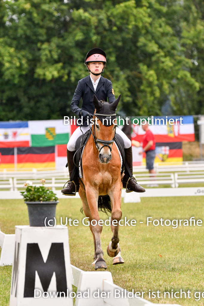 Goldene Schärpe Ponys in Hohenberg Krusemark 2024 | 12072024 Dressur _0352