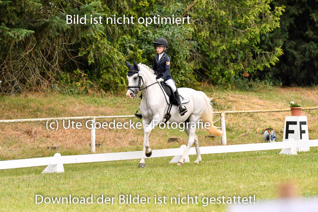Goldene Schärpe Ponys in Hohenberg Krusemark 2024 | 12072024 Dressur _0355