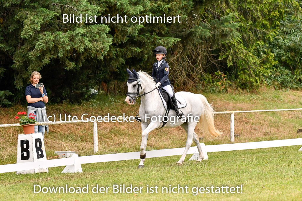 Goldene Schärpe Ponys in Hohenberg Krusemark 2024 | 12072024 Dressur _0356