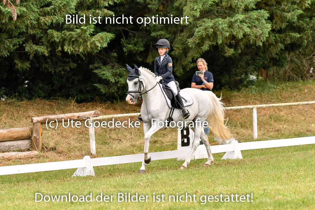 Goldene Schärpe Ponys in Hohenberg Krusemark 2024 | 12072024 Dressur _0357