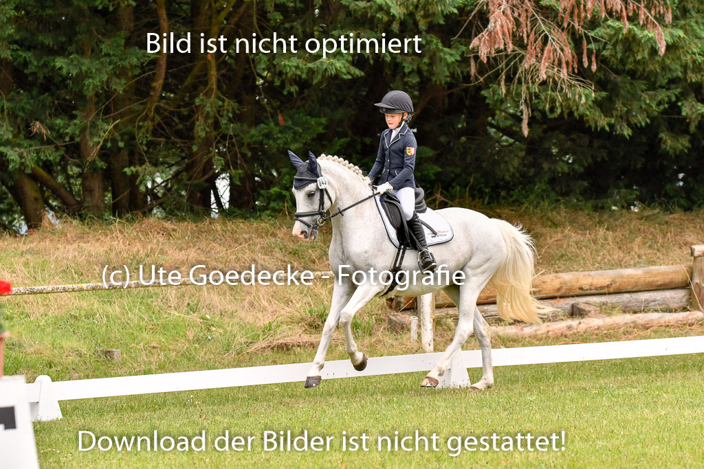 Goldene Schärpe Ponys in Hohenberg Krusemark 2024 | 12072024 Dressur _0359