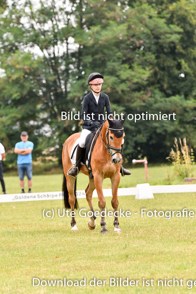Goldene Schärpe Ponys in Hohenberg Krusemark 2024 | 12072024 Dressur _0360