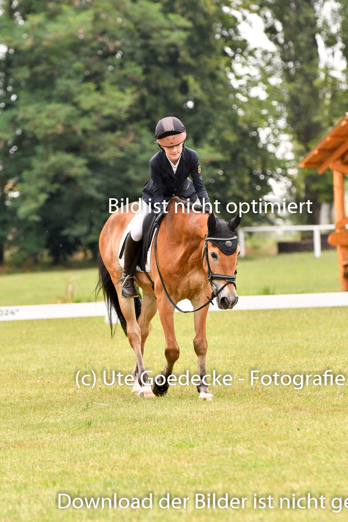 Goldene Schärpe Ponys in Hohenberg Krusemark 2024 | 12072024 Dressur _0362