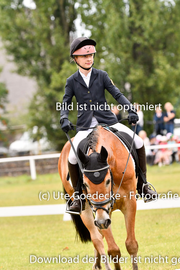 Goldene Schärpe Ponys in Hohenberg Krusemark 2024 | 12072024 Dressur _0363