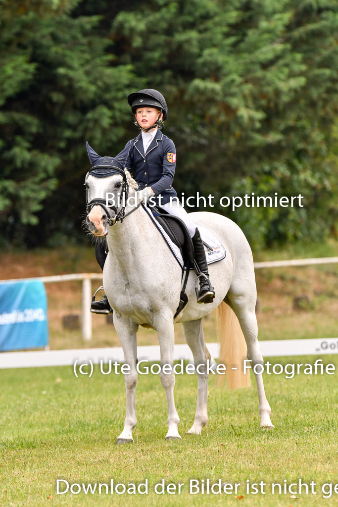 Goldene Schärpe Ponys in Hohenberg Krusemark 2024 | 12072024 Dressur _0364