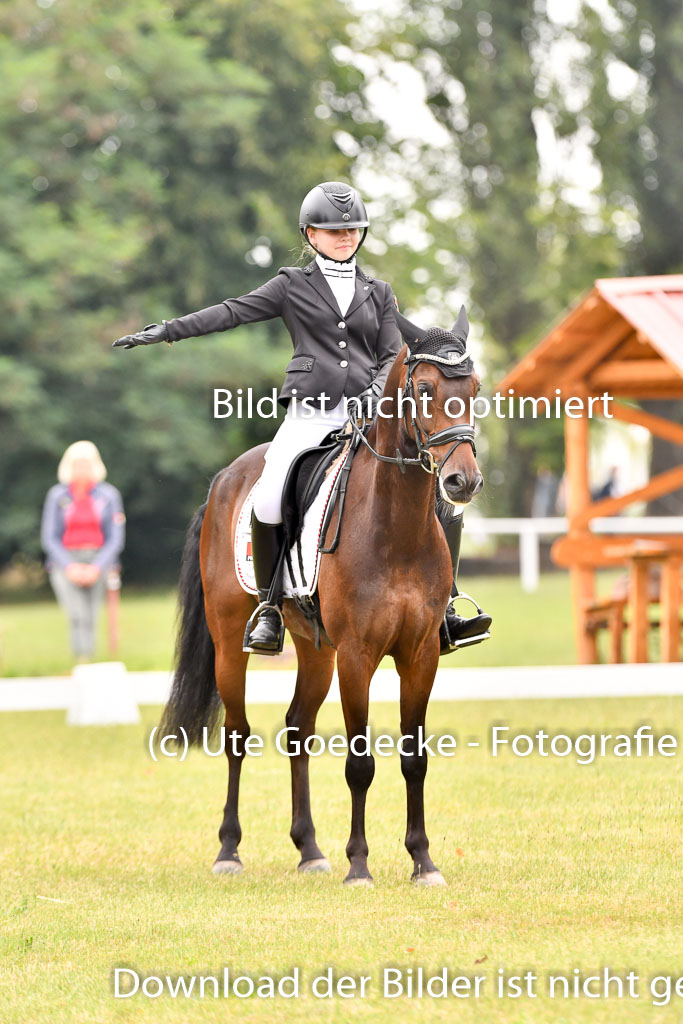 Goldene Schärpe Ponys in Hohenberg Krusemark 2024 | 12072024 Dressur _0368
