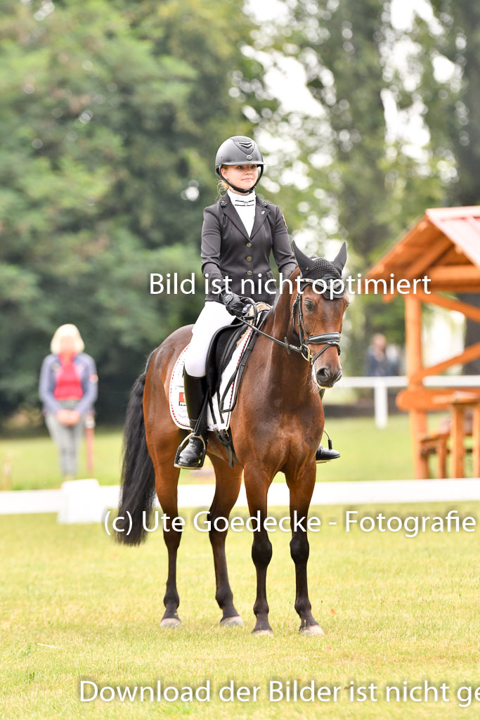 Goldene Schärpe Ponys in Hohenberg Krusemark 2024 | 12072024 Dressur _0369