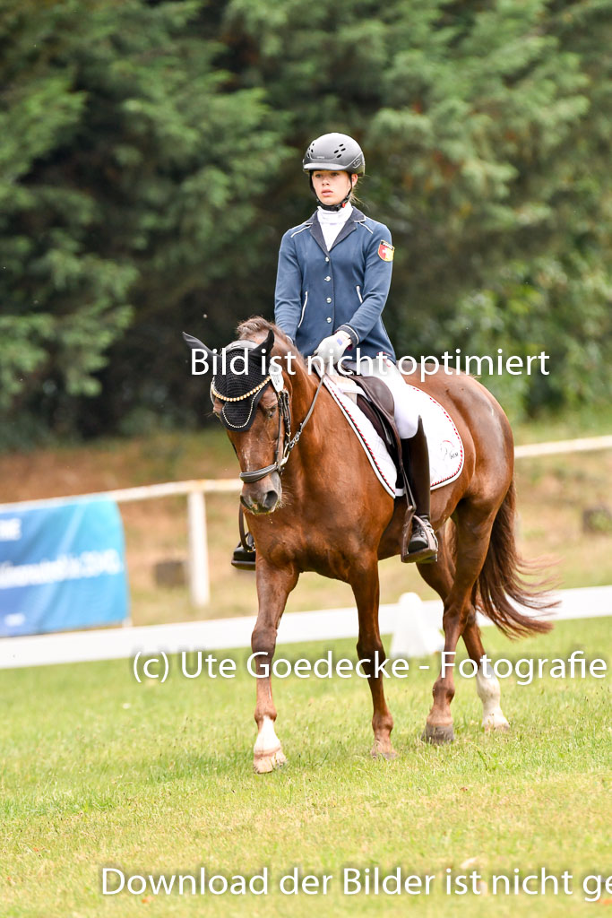 Goldene Schärpe Ponys in Hohenberg Krusemark 2024 | 12072024 Dressur _0371