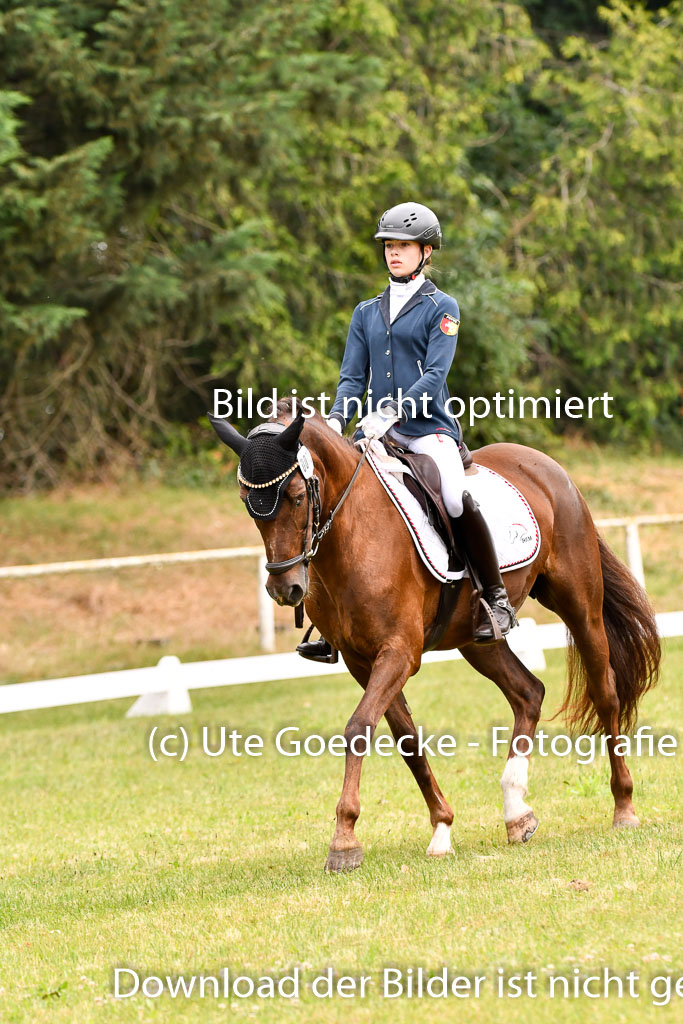 Goldene Schärpe Ponys in Hohenberg Krusemark 2024 | 12072024 Dressur _0372