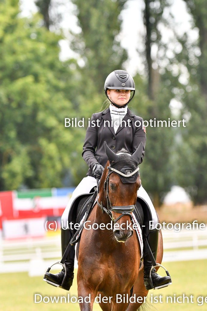 Goldene Schärpe Ponys in Hohenberg Krusemark 2024 | 12072024 Dressur _0373