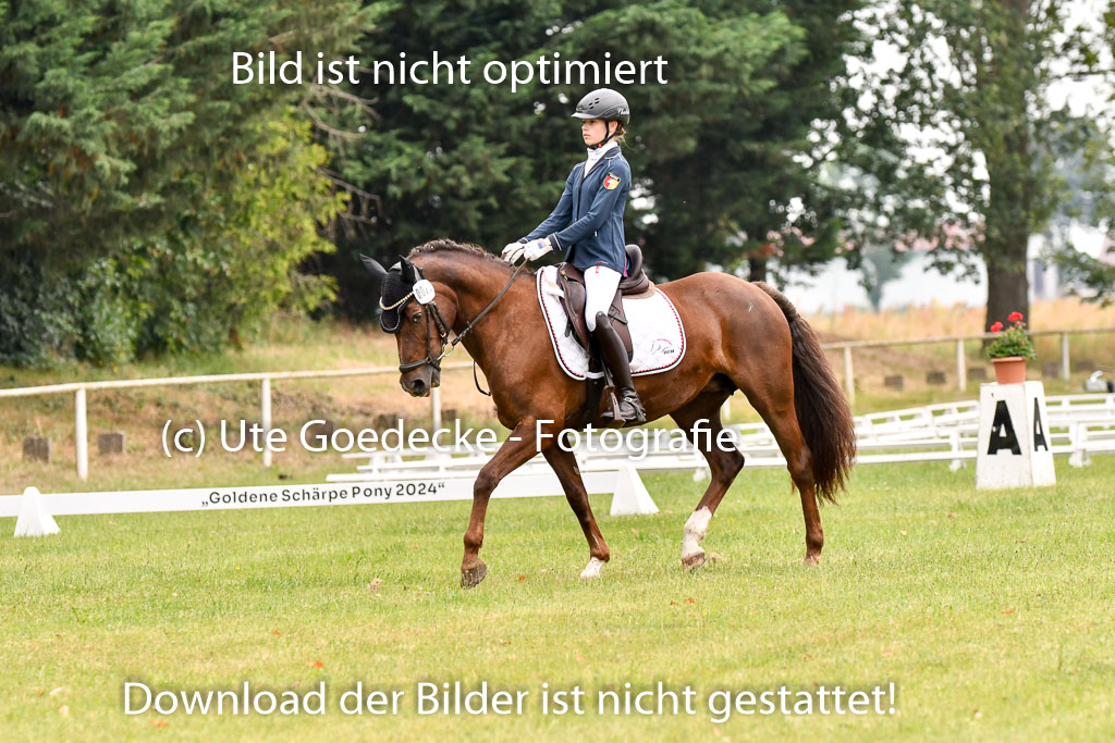 Goldene Schärpe Ponys in Hohenberg Krusemark 2024 | 12072024 Dressur _0375