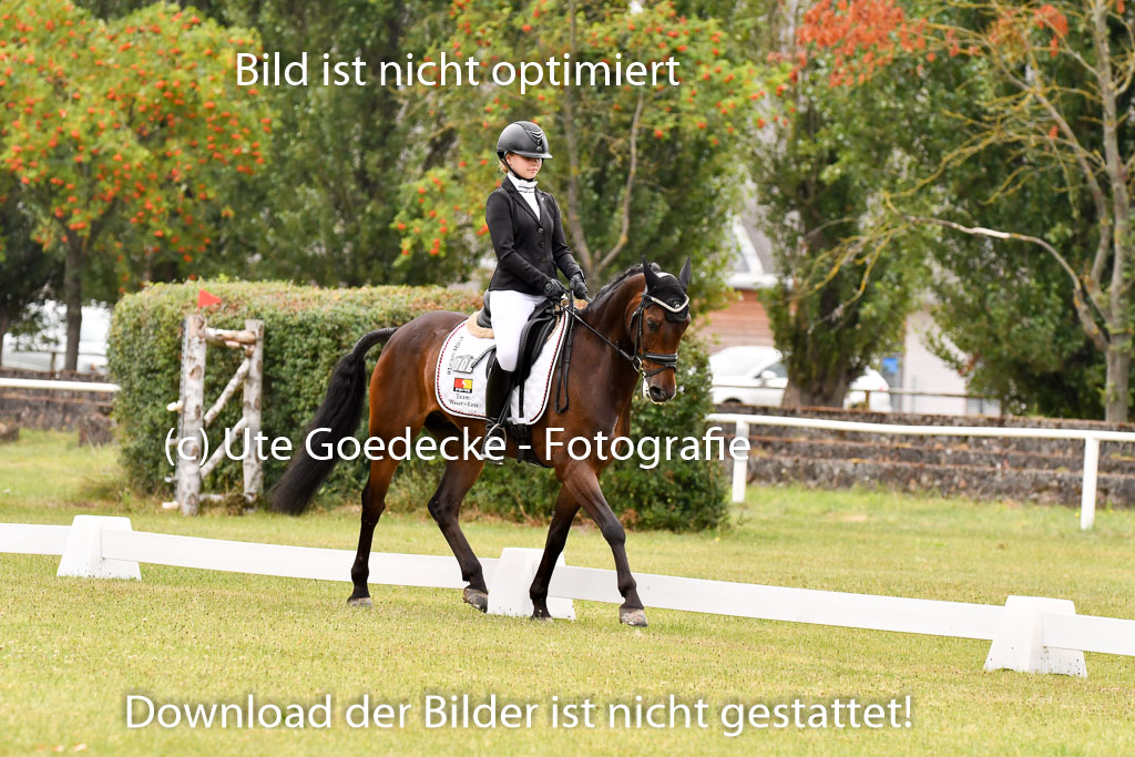 Goldene Schärpe Ponys in Hohenberg Krusemark 2024 | 12072024 Dressur _0376