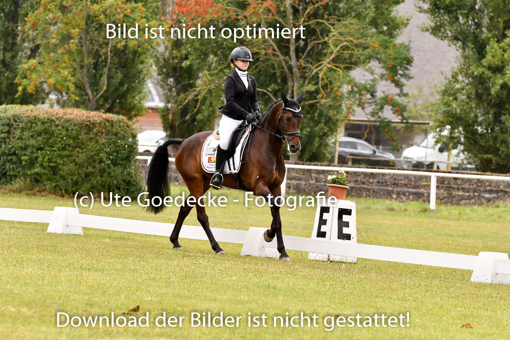 Goldene Schärpe Ponys in Hohenberg Krusemark 2024 | 12072024 Dressur _0378