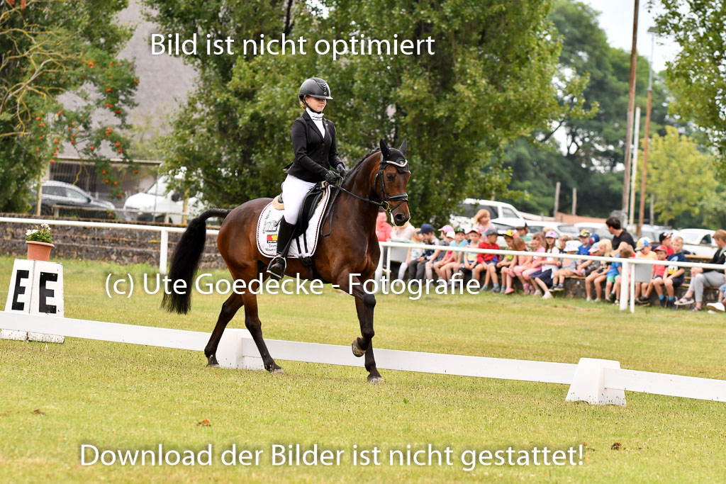 Goldene Schärpe Ponys in Hohenberg Krusemark 2024 | 12072024 Dressur _0380