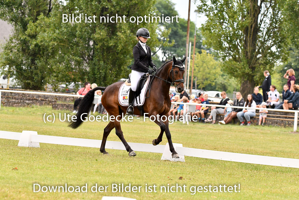 Goldene Schärpe Ponys in Hohenberg Krusemark 2024 | 12072024 Dressur _0381