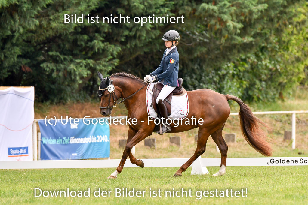 Goldene Schärpe Ponys in Hohenberg Krusemark 2024 | 12072024 Dressur _0384