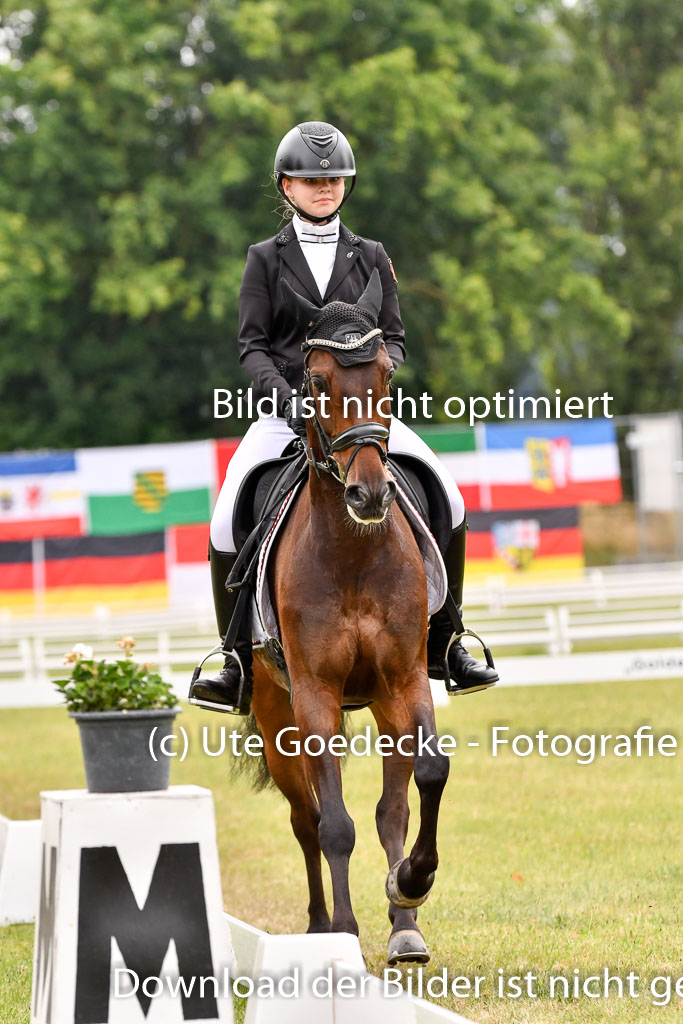 Goldene Schärpe Ponys in Hohenberg Krusemark 2024 | 12072024 Dressur _0385