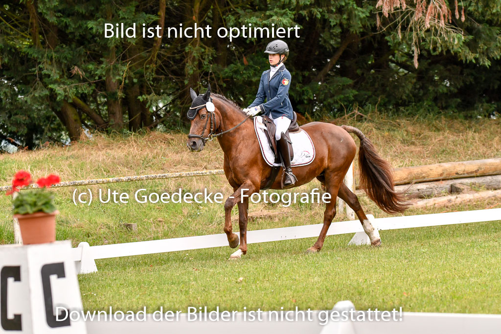 Goldene Schärpe Ponys in Hohenberg Krusemark 2024 | 12072024 Dressur _0386