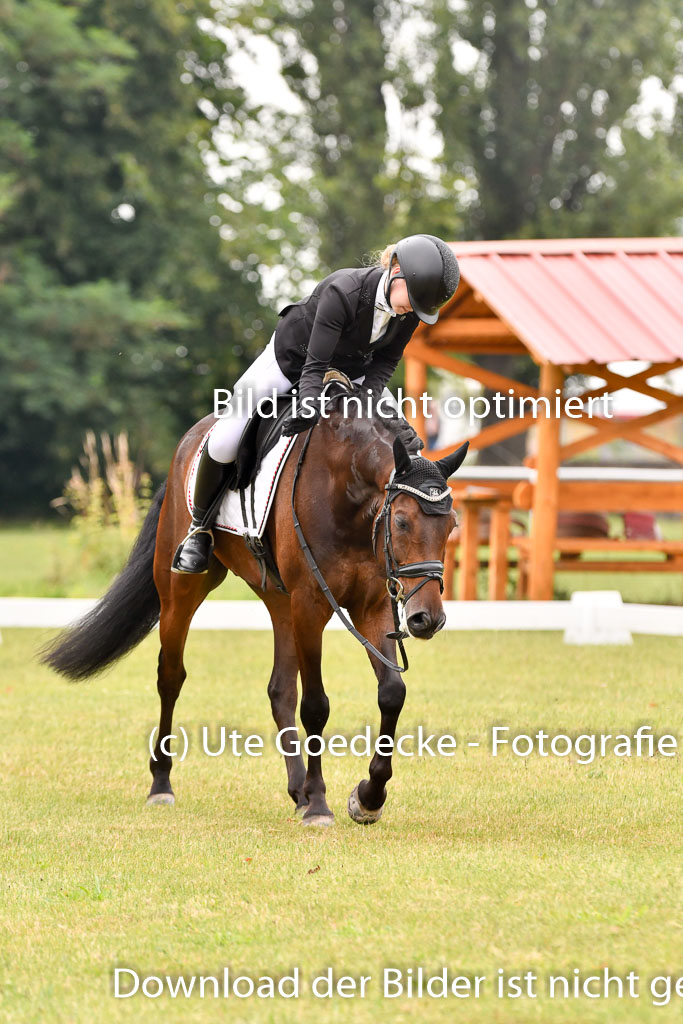 Goldene Schärpe Ponys in Hohenberg Krusemark 2024 | 12072024 Dressur _0387