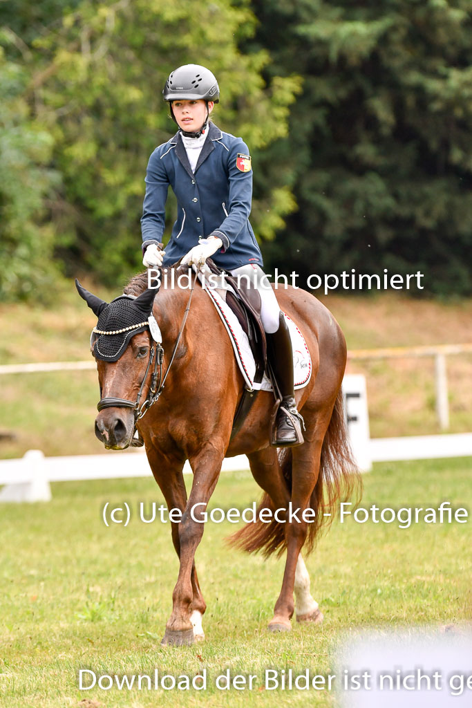 Goldene Schärpe Ponys in Hohenberg Krusemark 2024 | 12072024 Dressur _0388