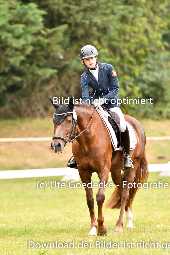 Goldene Schärpe Ponys in Hohenberg Krusemark 2024 | 12072024 Dressur _0389