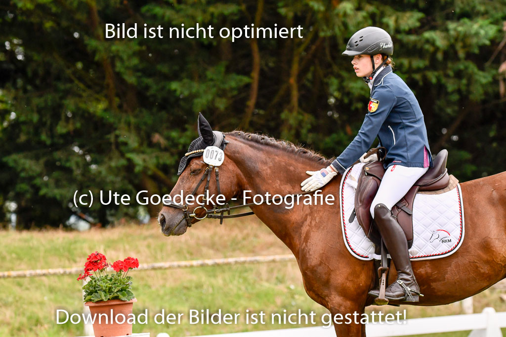 Goldene Schärpe Ponys in Hohenberg Krusemark 2024 | 12072024 Dressur _0391