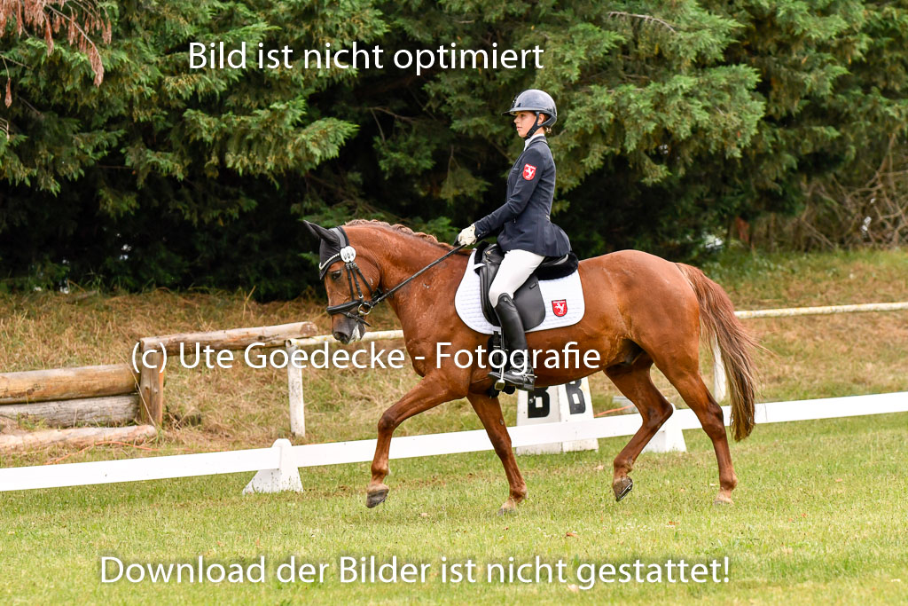 Goldene Schärpe Ponys in Hohenberg Krusemark 2024 | 12072024 Dressur _0393