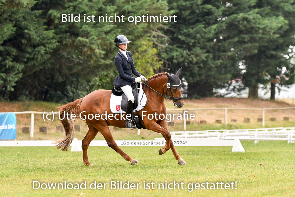 Goldene Schärpe Ponys in Hohenberg Krusemark 2024 | 12072024 Dressur _0395