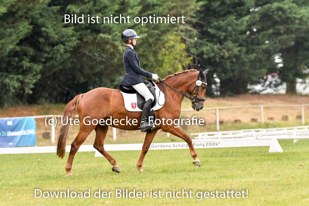 Goldene Schärpe Ponys in Hohenberg Krusemark 2024 | 12072024 Dressur _0396