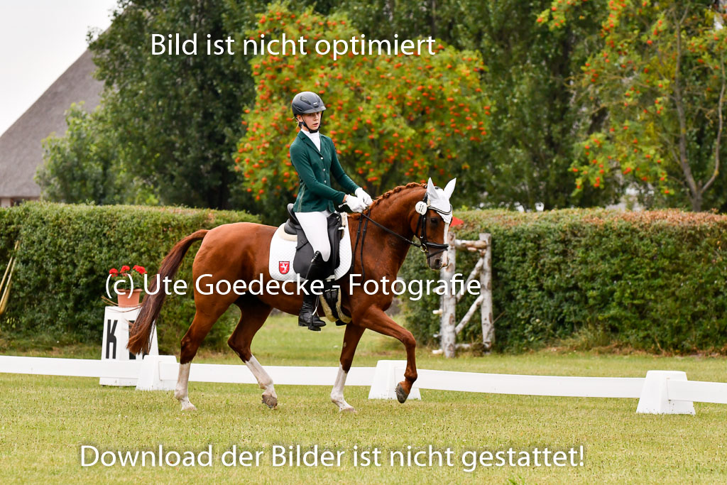Goldene Schärpe Ponys in Hohenberg Krusemark 2024 | 12072024 Dressur _0397