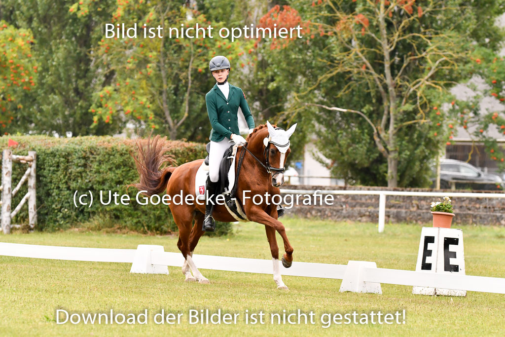 Goldene Schärpe Ponys in Hohenberg Krusemark 2024 | 12072024 Dressur _0398