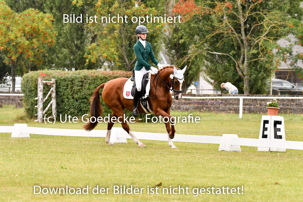 Goldene Schärpe Ponys in Hohenberg Krusemark 2024 | 12072024 Dressur _0399