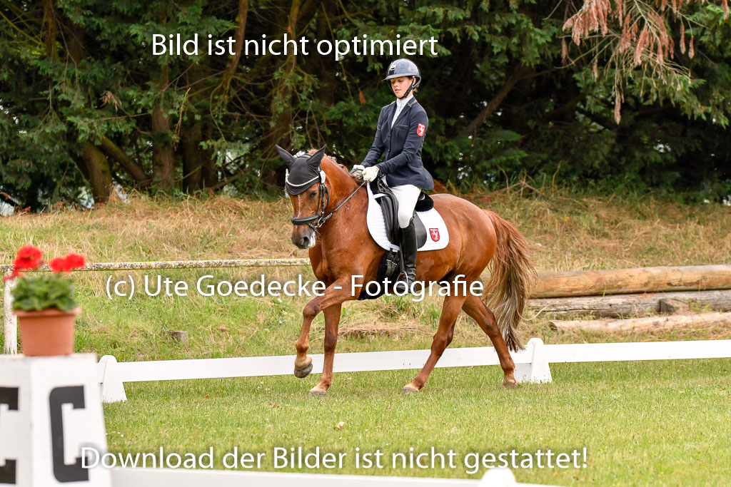 Goldene Schärpe Ponys in Hohenberg Krusemark 2024 | 12072024 Dressur _0404 