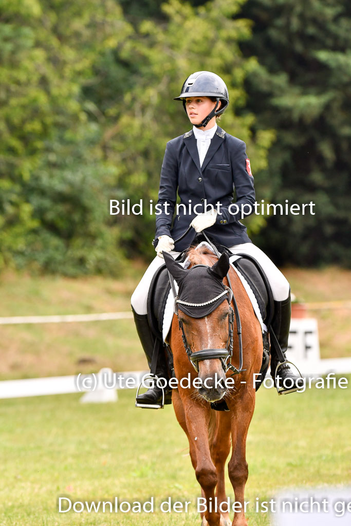 Goldene Schärpe Ponys in Hohenberg Krusemark 2024 | 12072024 Dressur _0406