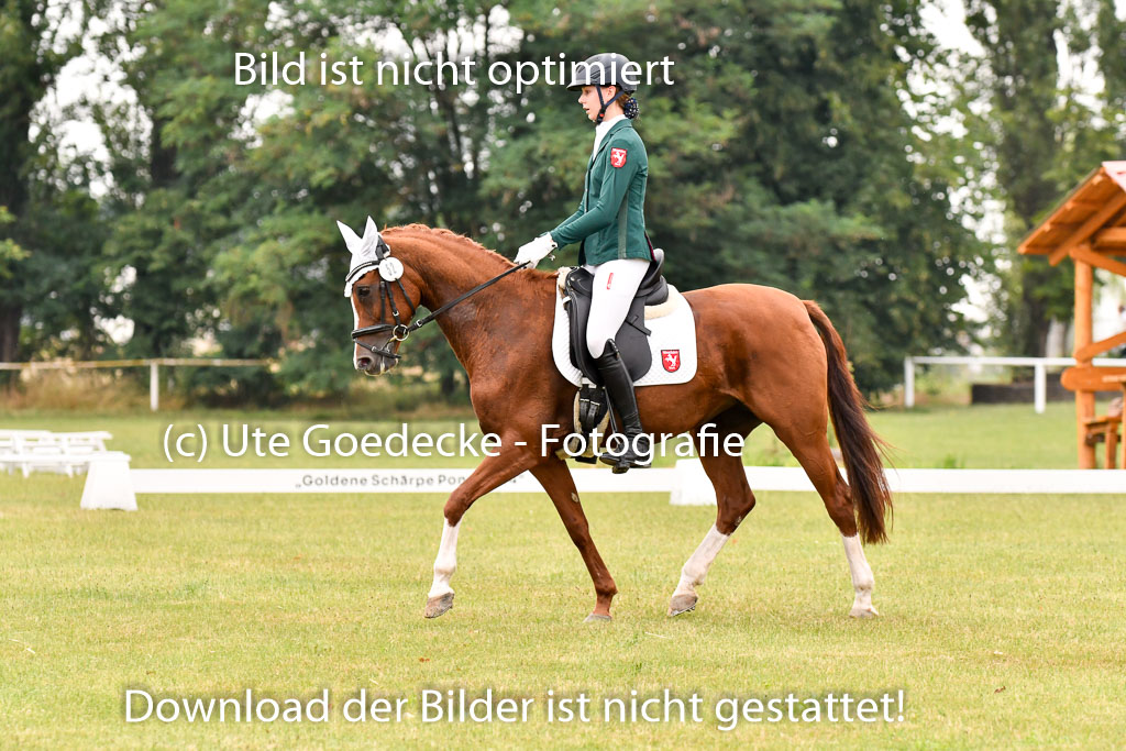 Goldene Schärpe Ponys in Hohenberg Krusemark 2024 | 12072024 Dressur _0407