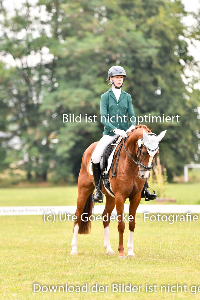 Goldene Schärpe Ponys in Hohenberg Krusemark 2024 | 12072024 Dressur _0408