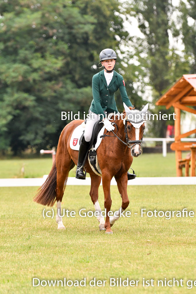 Goldene Schärpe Ponys in Hohenberg Krusemark 2024 | 12072024 Dressur _0409 