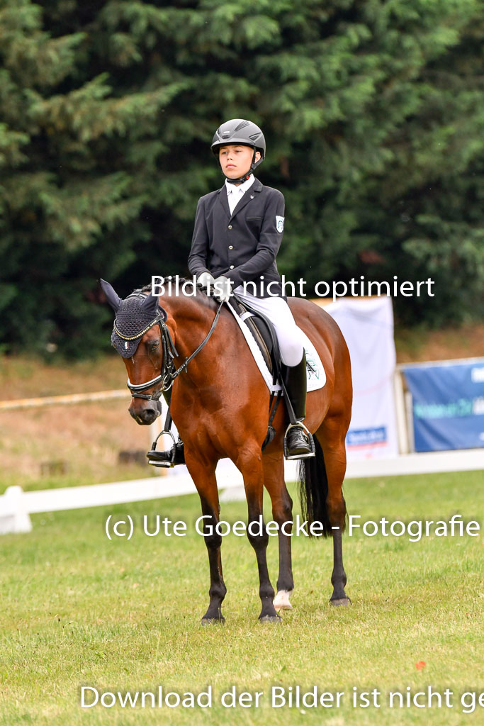 Goldene Schärpe Ponys in Hohenberg Krusemark 2024 | 12072024 Dressur _0413