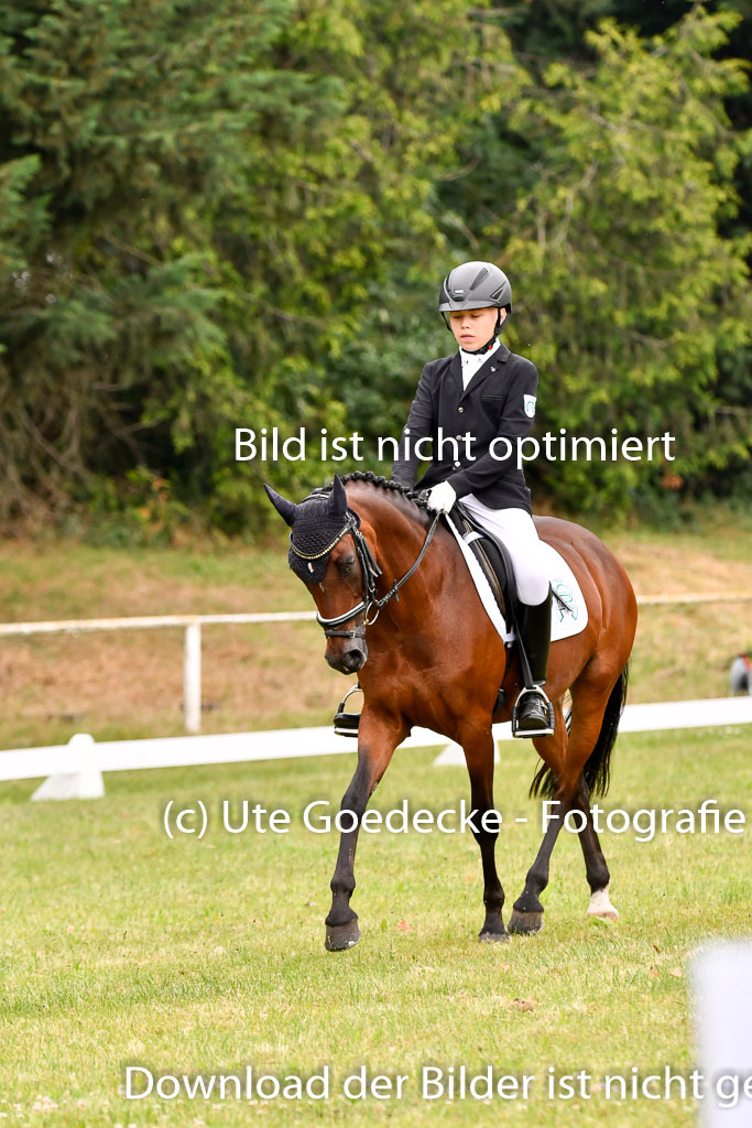 Goldene Schärpe Ponys in Hohenberg Krusemark 2024 | 12072024 Dressur _0414 