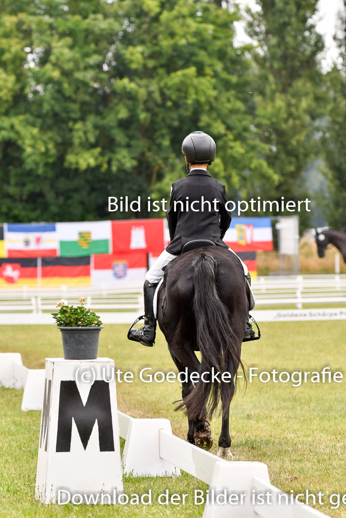 Goldene Schärpe Ponys in Hohenberg Krusemark 2024 | 12072024 Dressur _0415