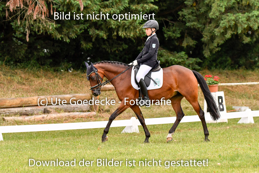 Goldene Schärpe Ponys in Hohenberg Krusemark 2024 | 12072024 Dressur _0417