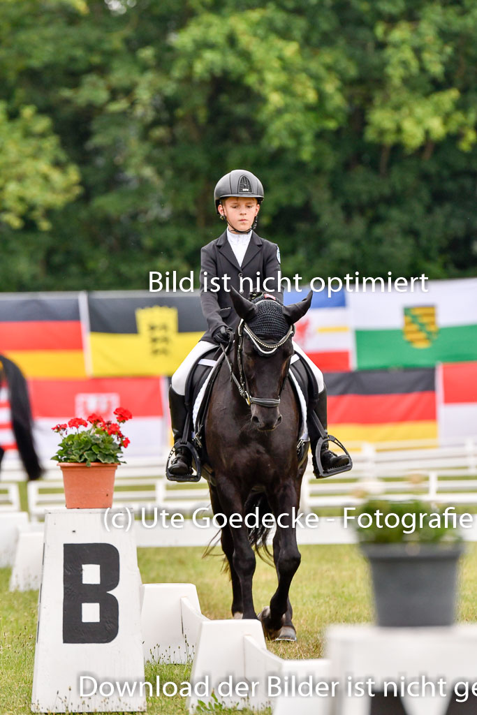 Goldene Schärpe Ponys in Hohenberg Krusemark 2024 | 12072024 Dressur _0418