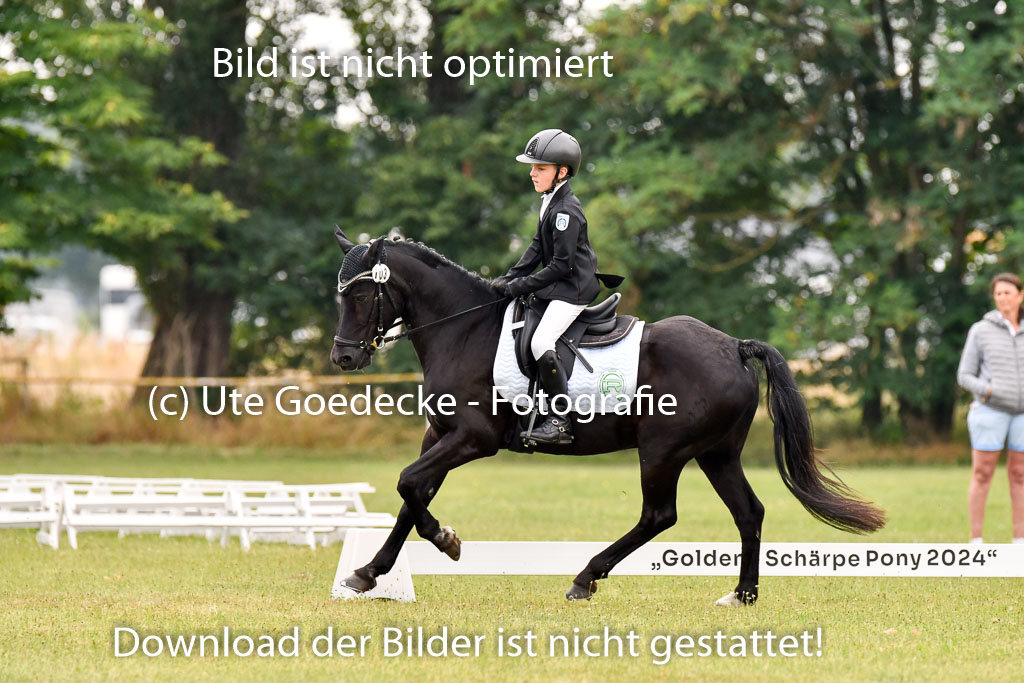 Goldene Schärpe Ponys in Hohenberg Krusemark 2024 | 12072024 Dressur _0422