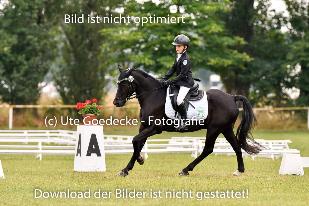 Goldene Schärpe Ponys in Hohenberg Krusemark 2024 | 12072024 Dressur _0423